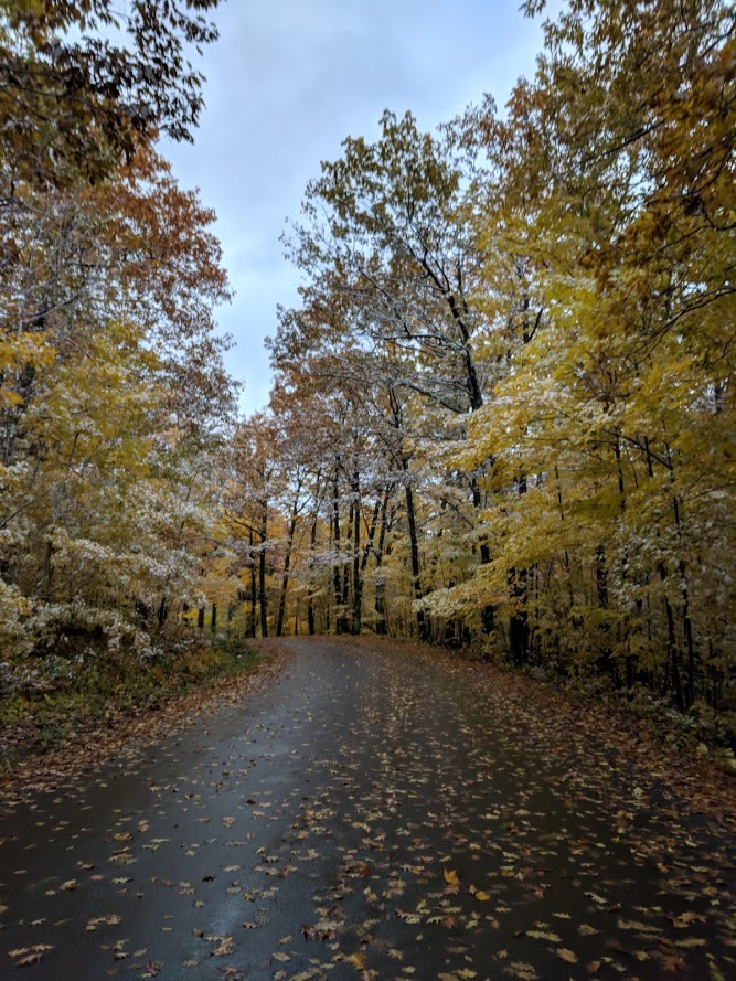October Ironwood
