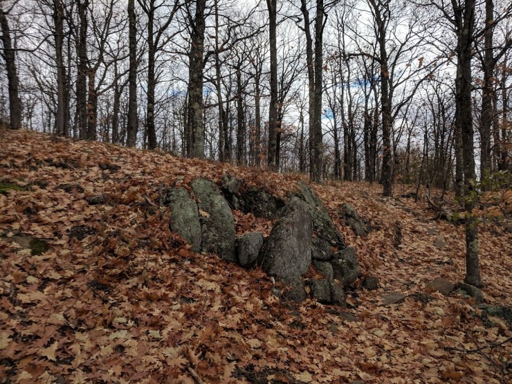trail nov 2